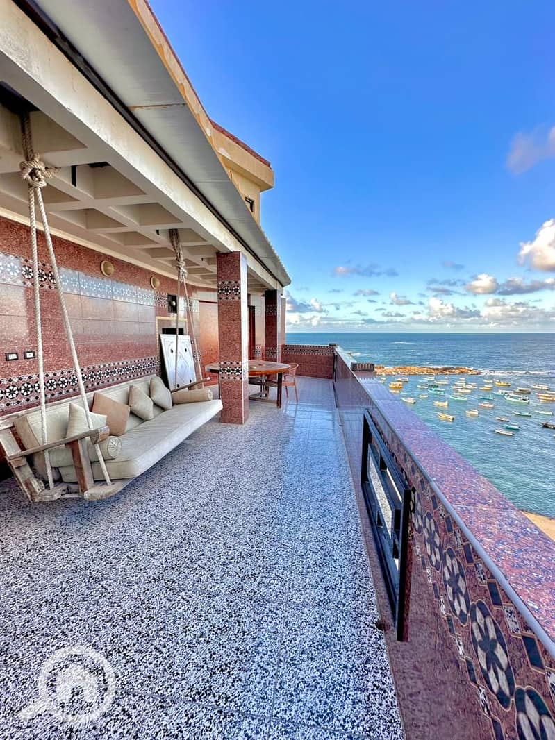 6 WhatsApp Image 2026-01-31 at 14.16. 23 (1). jpeg