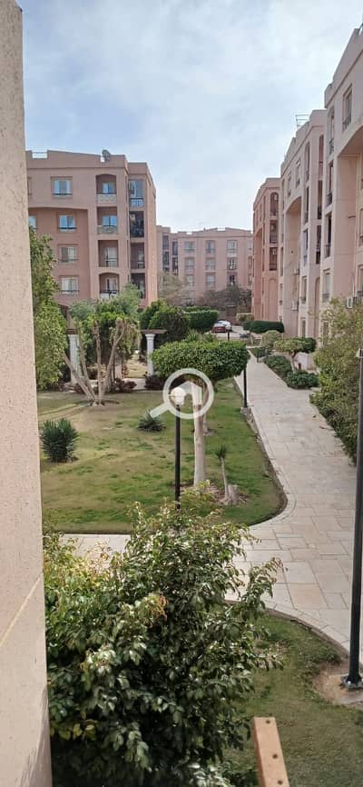 3 Bedroom Apartment for Rent in New Cairo, Cairo - WhatsApp Image 2026-01-31 at 2.33. 55 PM(1). jpeg
