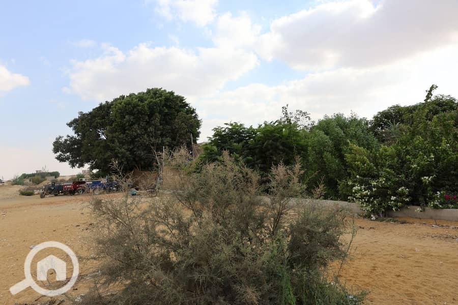 8 vcxvxcvcxvcxvcxvd. jpeg