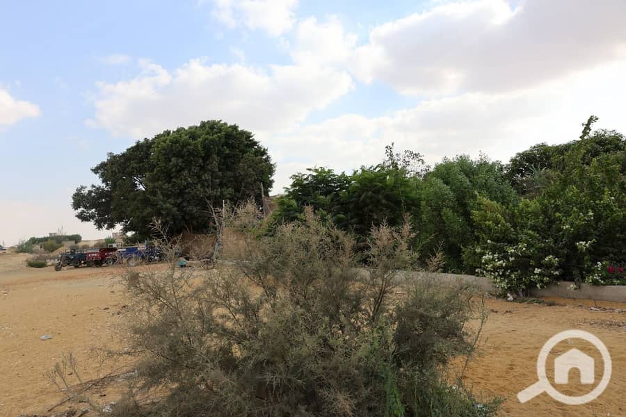 8 vcxvxcvcxvcxvcxvd. jpeg