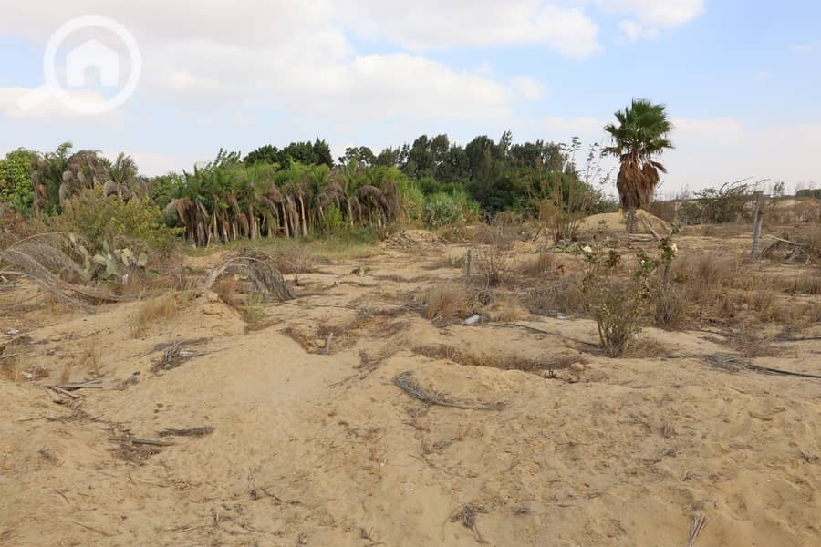 22 يلبيليبليب. jpeg