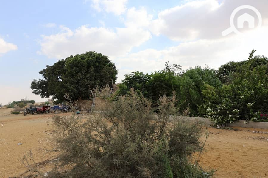 8 vcxvxcvcxvcxvcxvd. jpeg