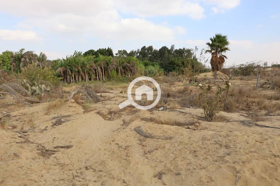 22 يلبيليبليب. jpeg