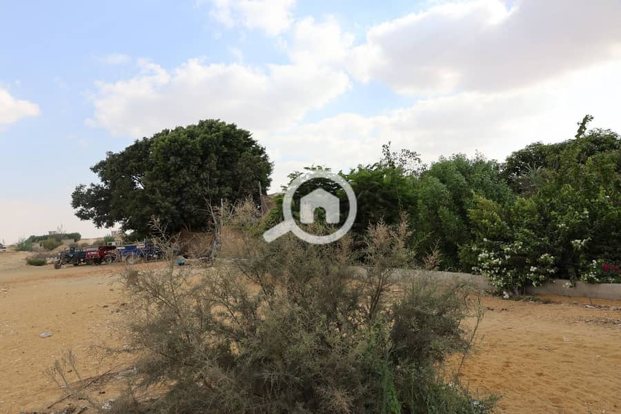 9 vcxvxcvcxvcxvcxvd. jpeg