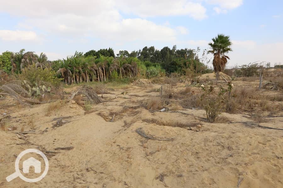 22 يلبيليبليب. jpeg