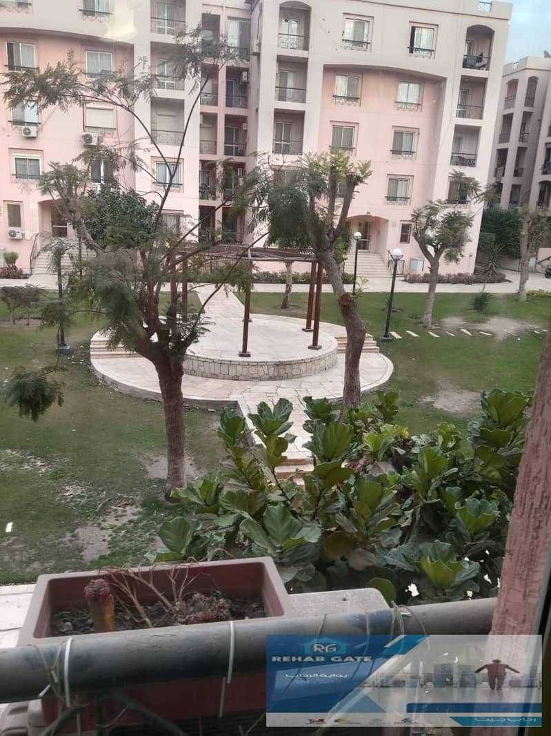 5 11174806-b4f2-4b90-9e61-b669a9cce9fd. jpg