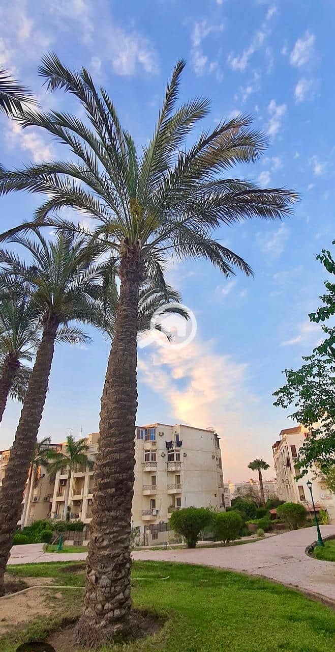 3 WhatsApp Image 2026-01-28 at 4.42. 52 PM (2). jpeg