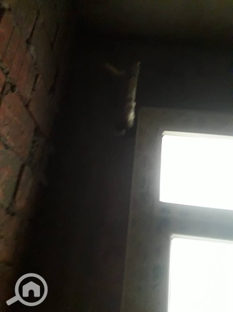 8 WhatsApp Image 2026-01-31 at 3.07. 30 PM. jpeg