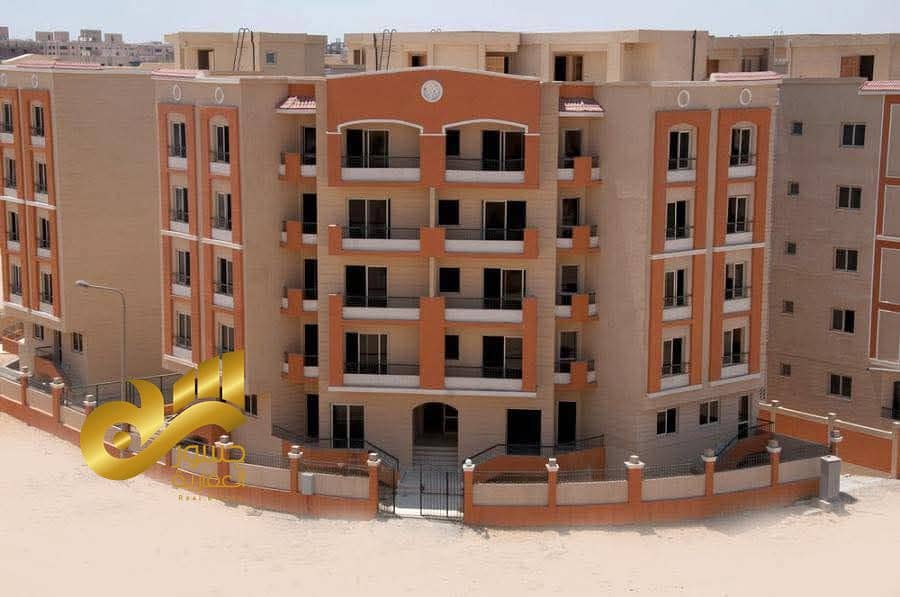 3 749e51c6-5dc7-429a-84b1-ea992ca5217c. jpg