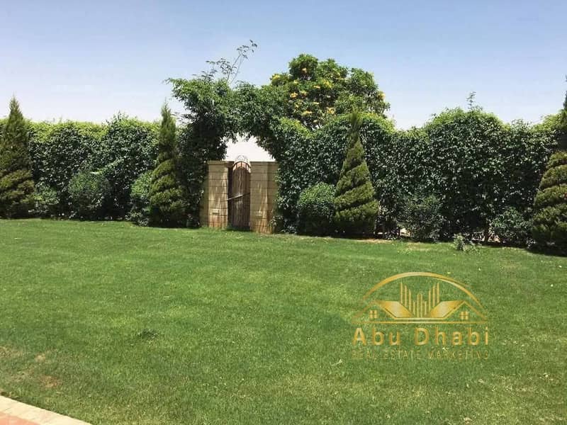 4 0de8370f-0591-424d-9f64-58af60d79de6. jpg