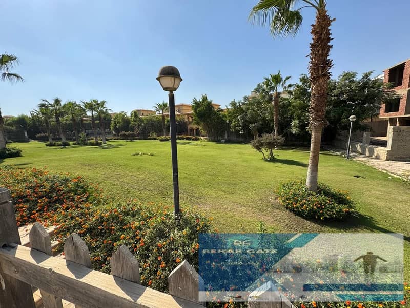 3 2ace83d9-21db-44d1-b033-c7433ff8e1fc. jpg