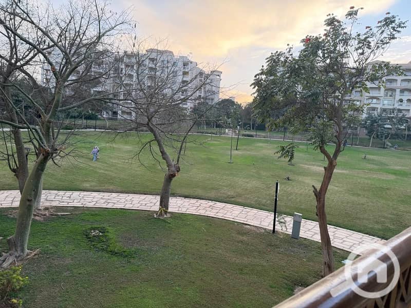 5 IMG-20260131-WA0005. jpg