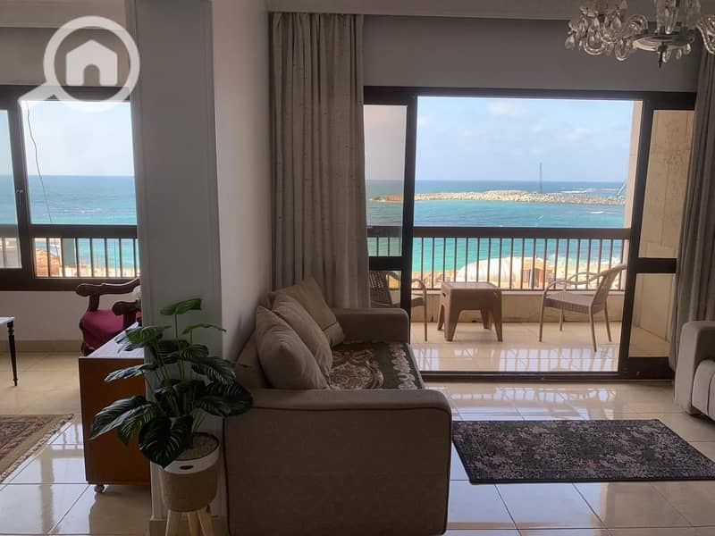 3 479bcf8d-38df-40ee-878e-ba998d743769. jpg