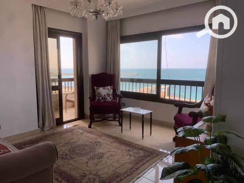 5 56c20b0a-b247-47e5-97b8-bf6ce955bdcb. jpg