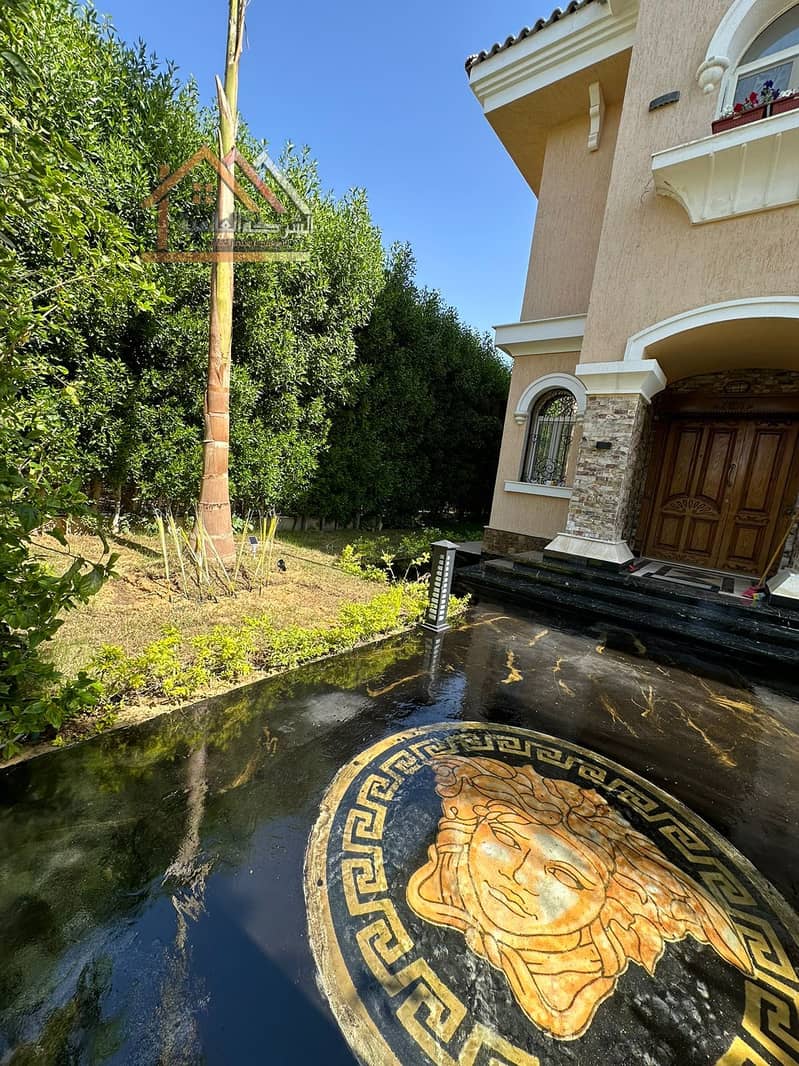 6 6defabde-be4f-4069-81a6-25992a243506. jpeg