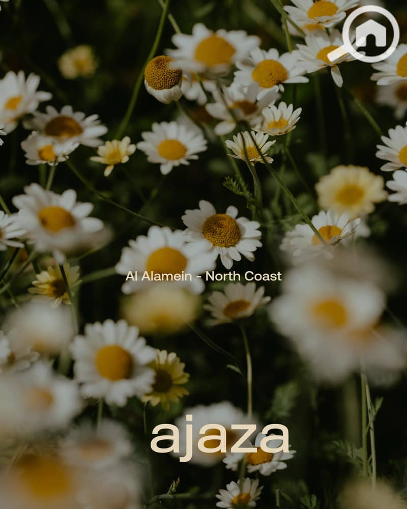 12 WhatsApp Image 2025-10-11 at 11.20. 34 AM (5). jpeg