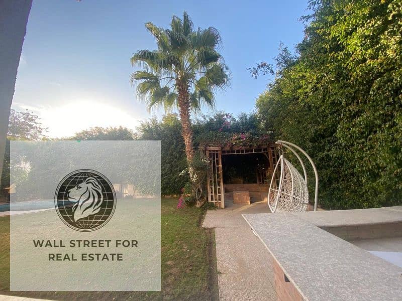 2 d16741c9-8df8-4c2d-a557-7ecef5c865e7. jfif. jpg