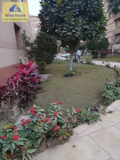 فلیٹ 3 غرف نوم للايجار في القاهرة الجديدة، القاهرة - WhatsApp Image 2026-01-31 at 8.13. 33 AM (2). jpeg