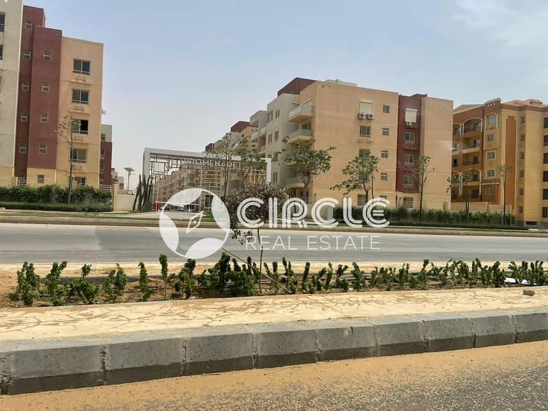 13 WhatsApp Image 2026-01-29 at 11.32. 43. jpeg