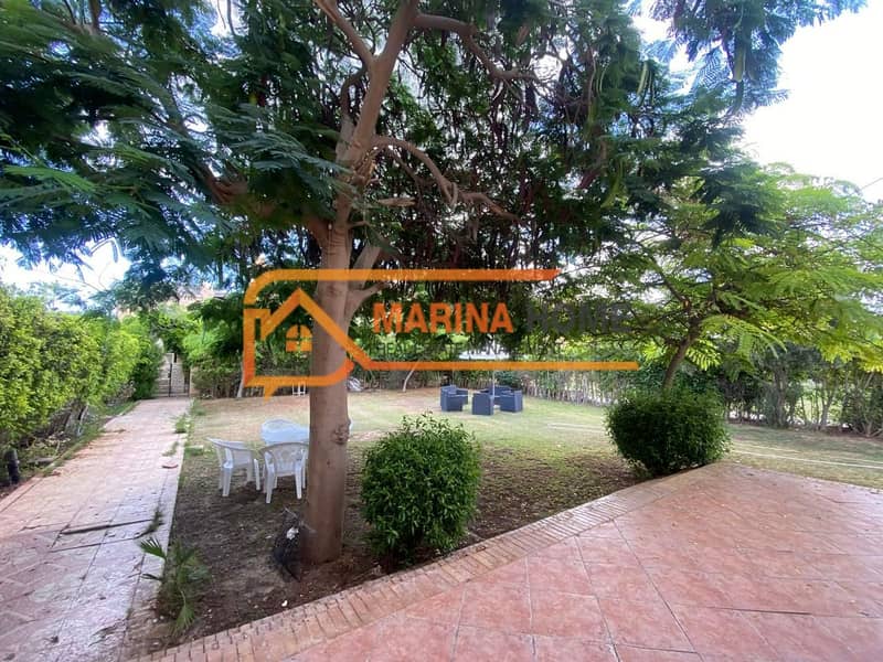 17 WhatsApp Image 2026-01-31 at 4.24. 41 PM. jpeg