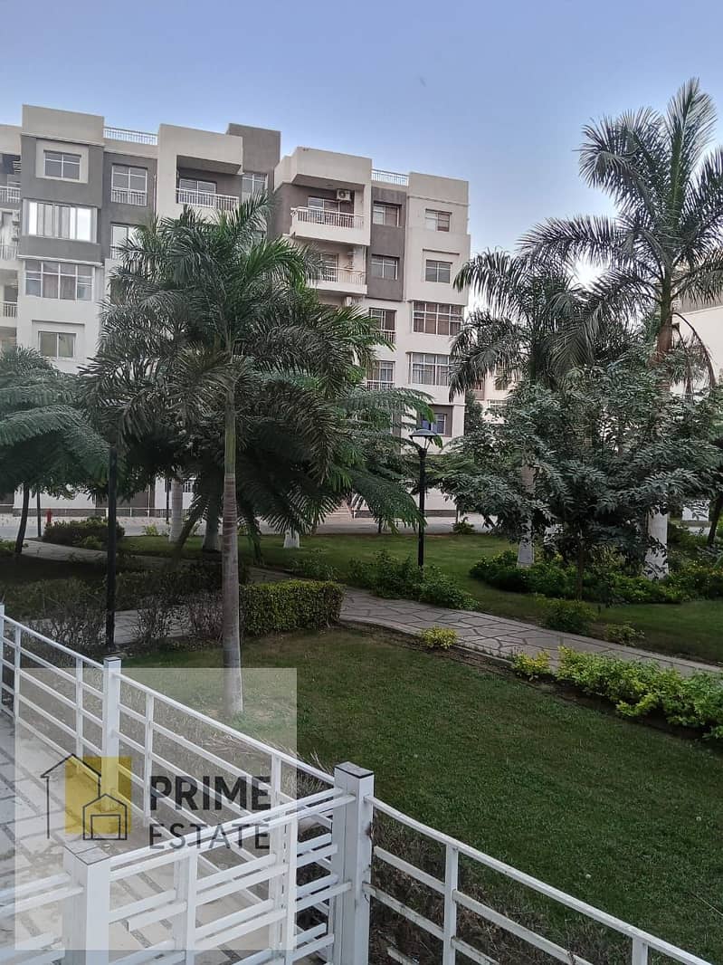 6 WhatsApp Image 2026-01-31 at 4.34. 14 PM. jpeg