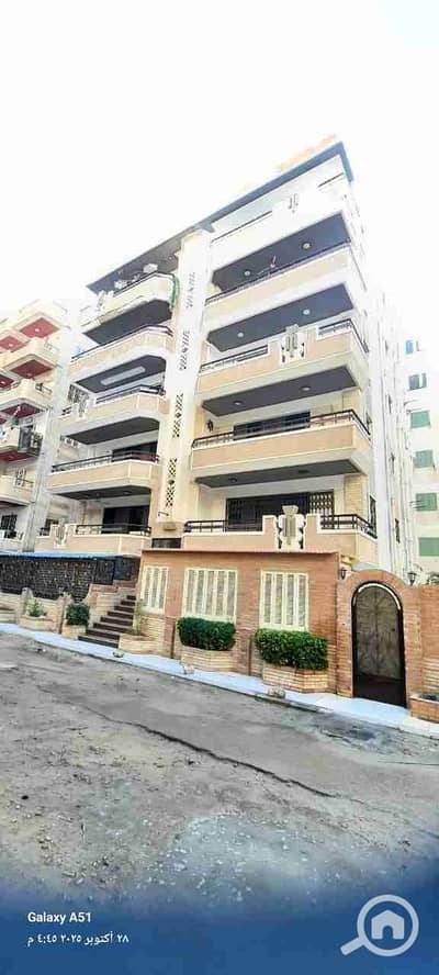 شقة 2 غرفة نوم للبيع في النخيل، الإسكندرية - 1000522028. jpg