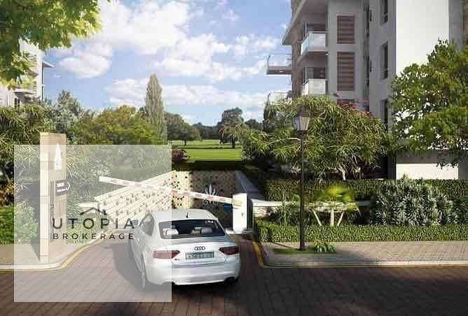 5 5e9928ec-b5fb-476b-a935-cc31506d3021. jpg