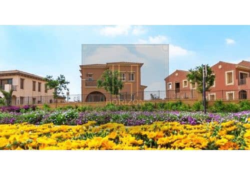 9 mividia-750x237-1. jpg