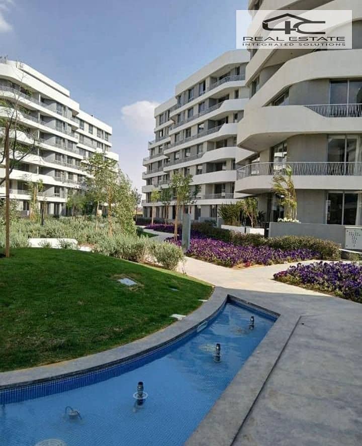 10 622388155_122196739898468351_702609486845447269_n. jpg