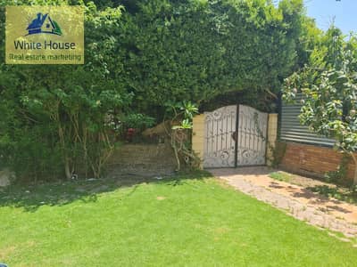 4 Bedroom Villa for Sale in New Cairo, Cairo - WhatsApp Image 2026-01-31 at 5.17. 54 PM (1). jpeg