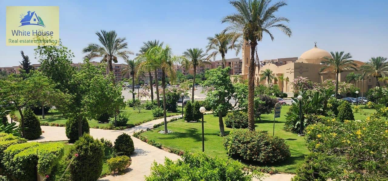 7 WhatsApp Image 2026-01-31 at 4.35. 17 PM. jpeg