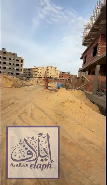 5 البتالنتن. PNG