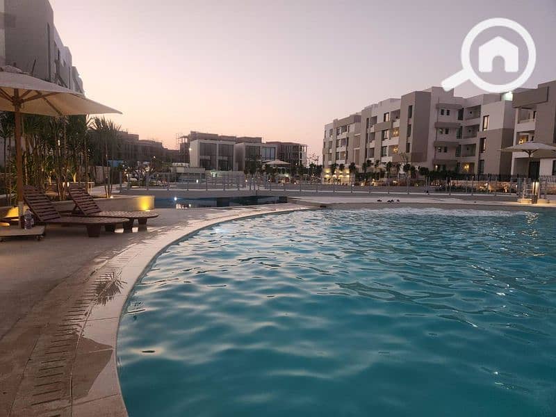 8 زهرههه                    _800x600. jpg