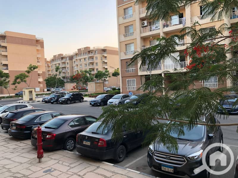 5 WhatsApp Image 2025-04-07 at 11.50. 20 AM. jpeg