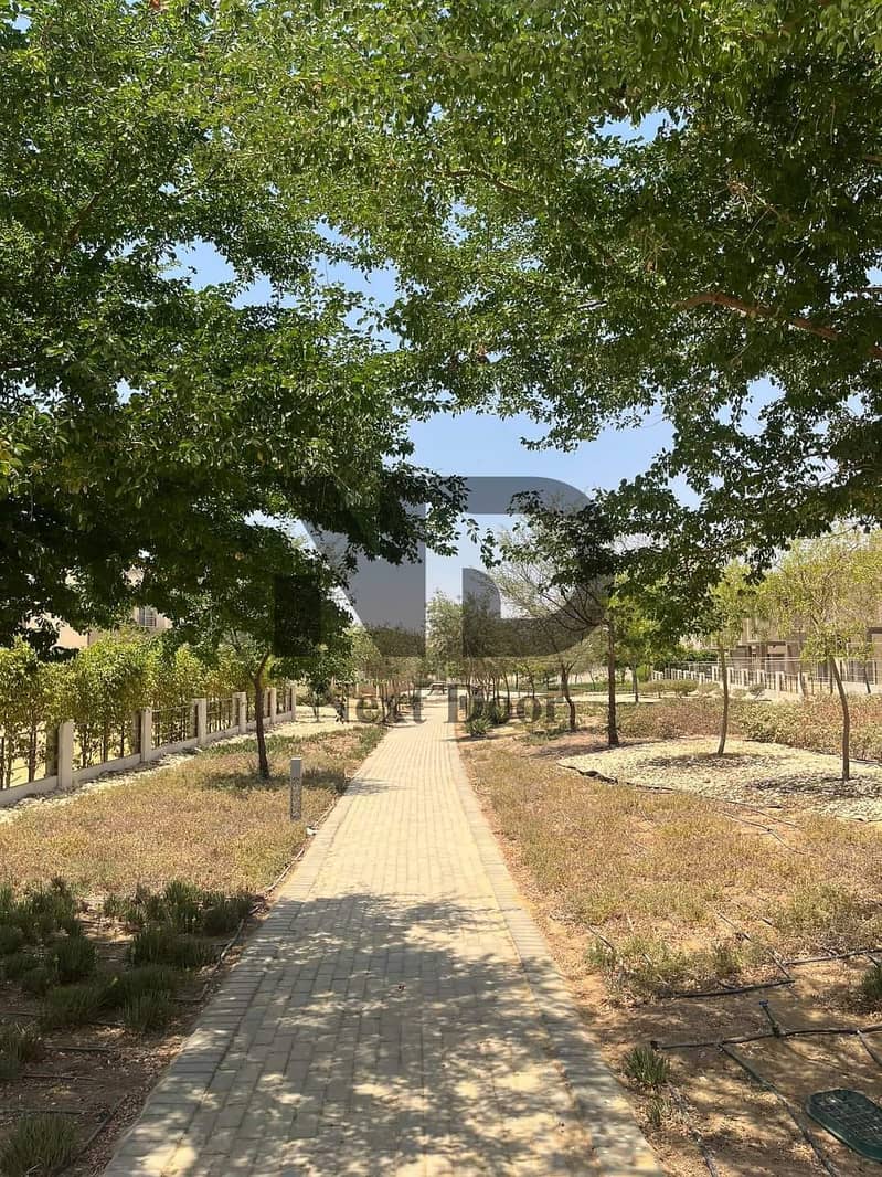 9 595446517_122263013624021314_8459009711126000421_n. jpg