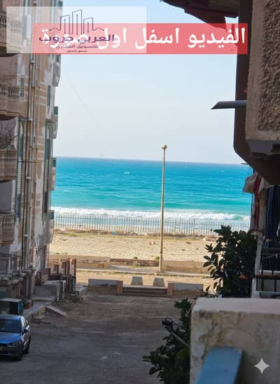 فلیٹ 2 غرفة نوم للبيع في النخيل، الإسكندرية - 1000359713. png