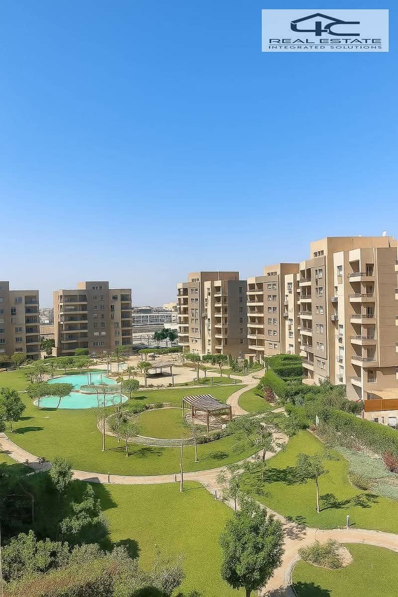 11 597222447_1213676917624257_696887807994482576_n. jpg