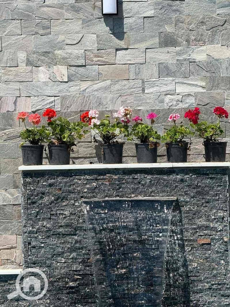 5 a7e6e332-b9af-43af-9127-39838b60d413. jpg