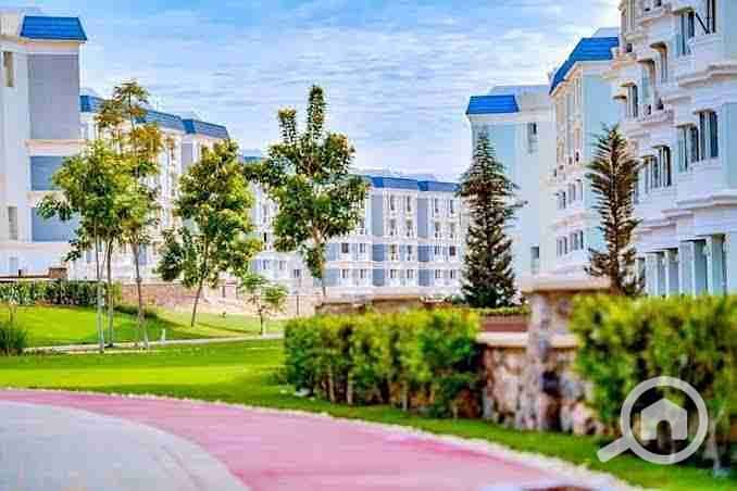 4 images - 2025-08-01T202545.272. jpeg