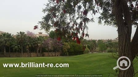 5 20160326_095054. jpg