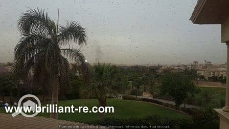 14 20160326_095302. jpg