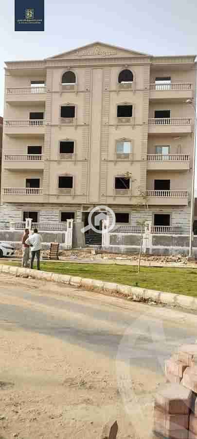 6 666803f115597775784994. jpeg