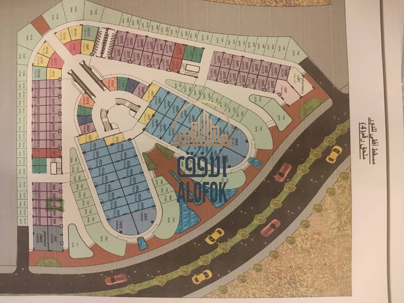 6 WhatsApp Image 2026-01-31 at 13.16. 00 (7). jpeg