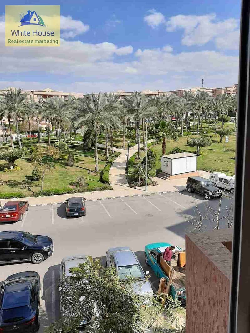 1000243301. jpg 1000243301. jpg