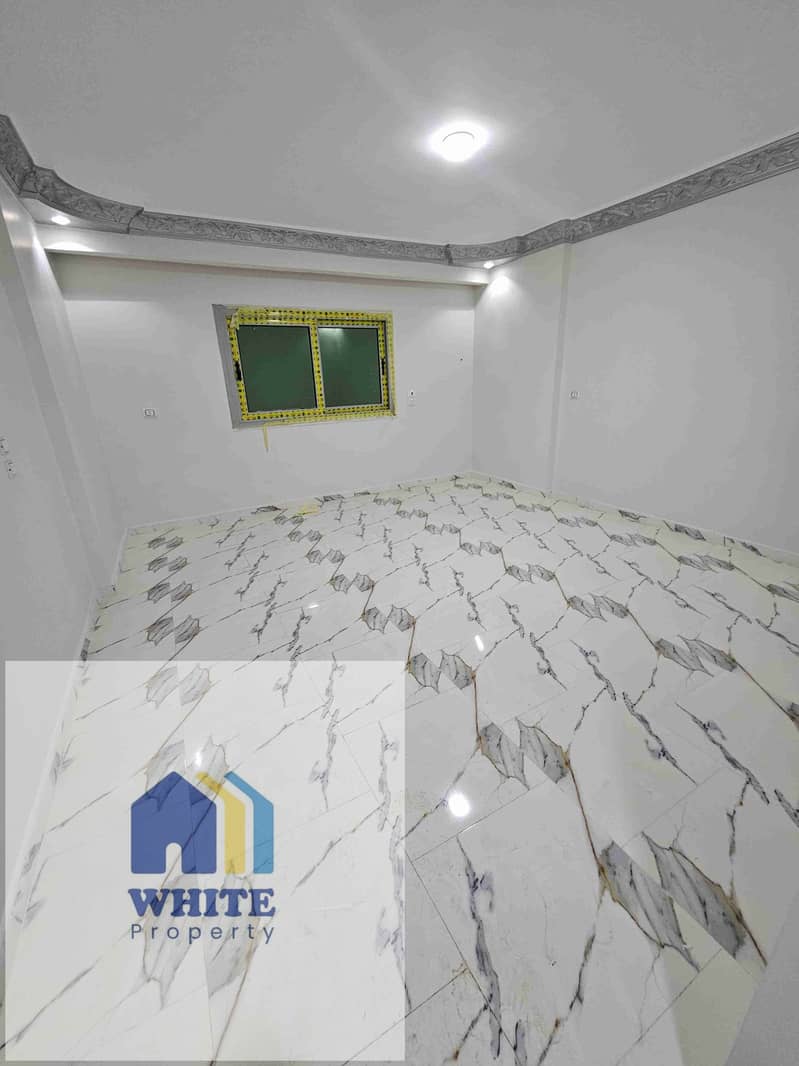 1000675929. jpg 1000675929. jpg