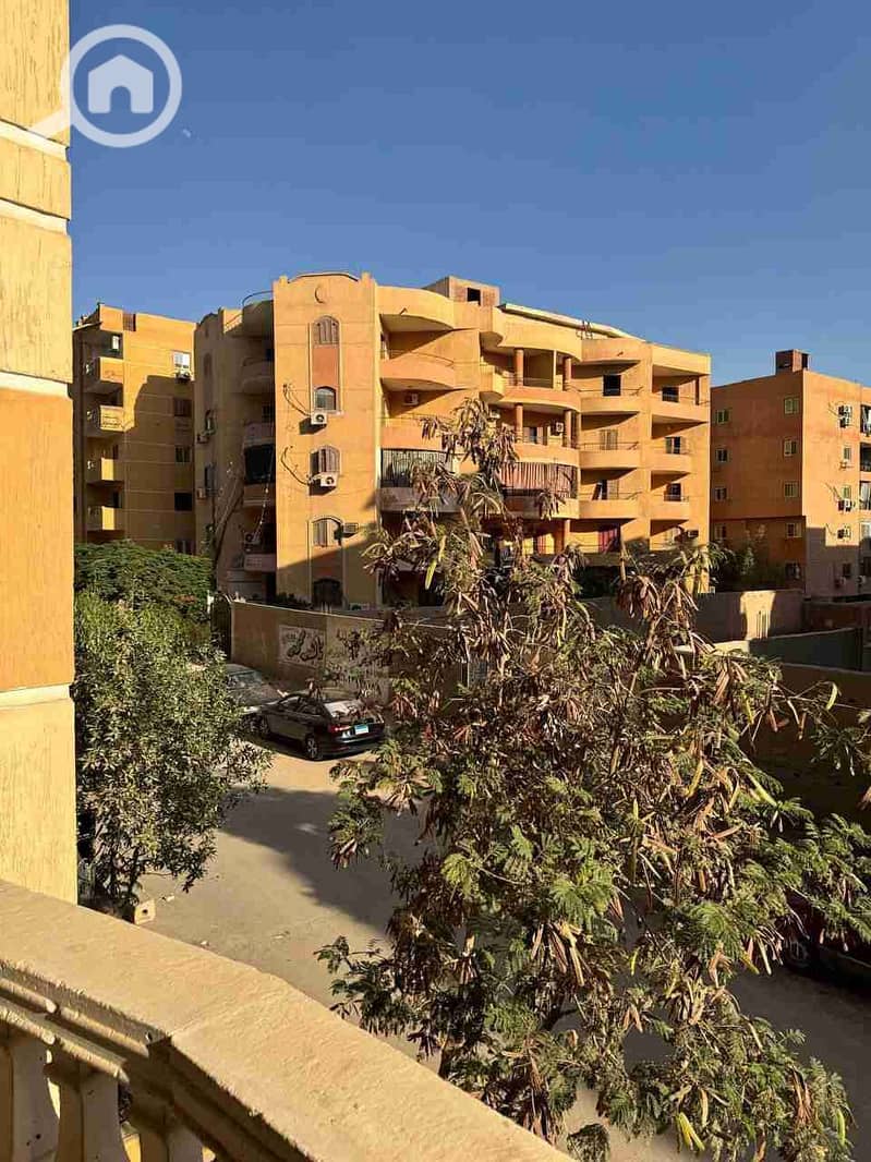 3 IMG_20260131_225721_444. jpg