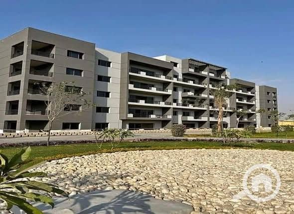 11 476828021_485904494587925_5748081734569143659_n. jpg