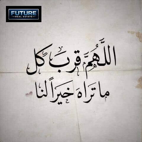 13 images (3). jpeg. jpg