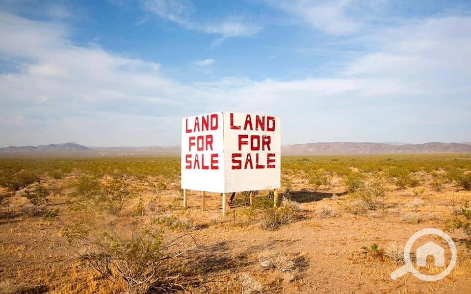 2 227752379_124930479840721_2532560879413629606_n. jpg