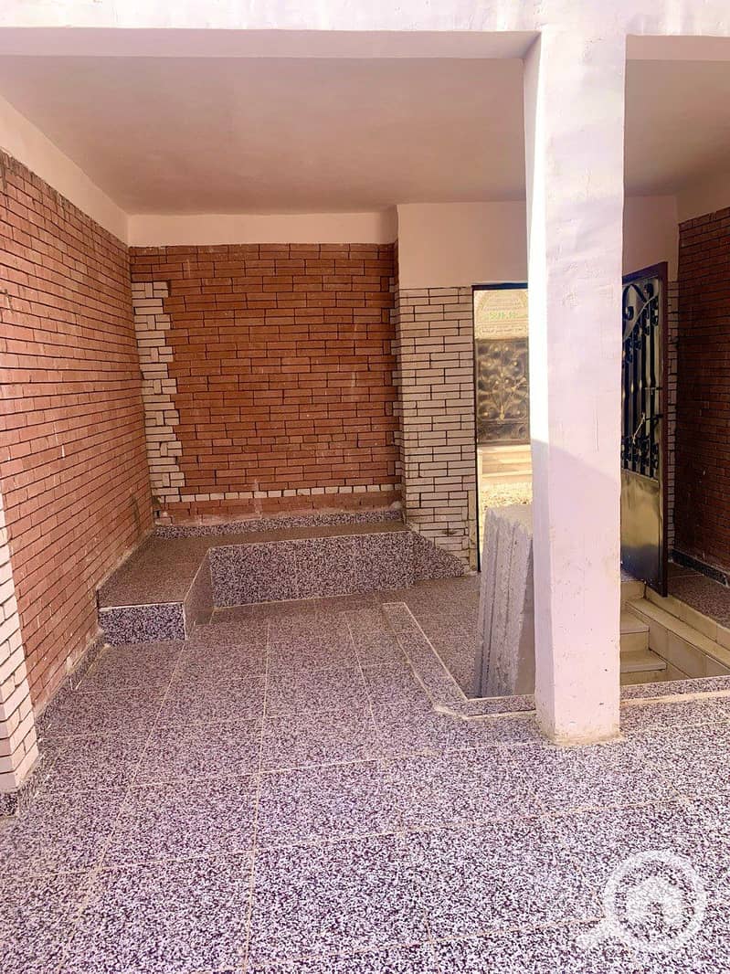 6 photo_2026-01-26_21-32-48. jpg